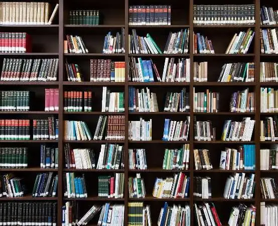 Lato z książką - biblioteka w Tomaszowie Mazowieckim szykuje wakacyjną przygodę dla dzieci