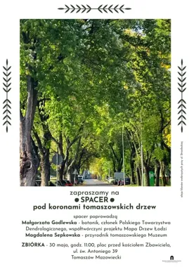 Grafika promocyjna wydarzenia Spacer przyrodniczo-historyczny „Pod koronami tomaszowskich drzew” w Tomaszowie Mazowieckim