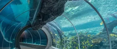 Strażacy wejdą do Orientarium za darmo - zoo szykuje wyjątkowy gest