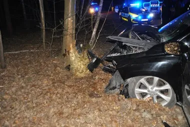 Dziki wtargnął na jezdnię pod Twardą - lexus rozbił się o drzewo