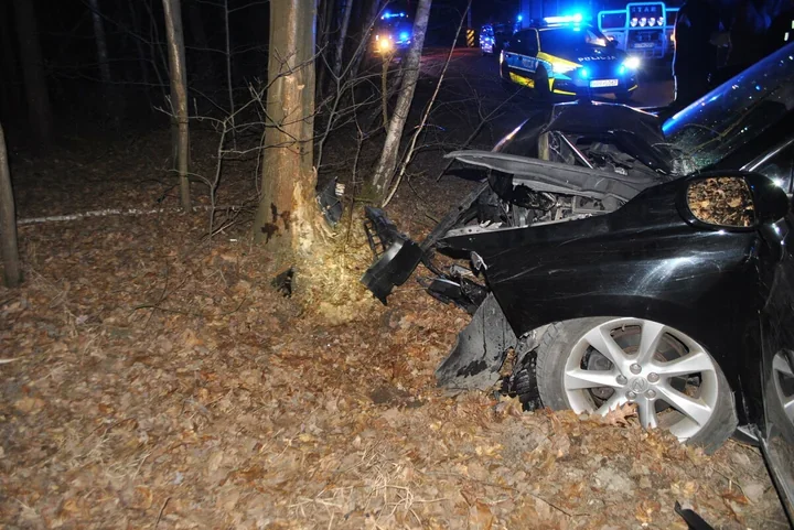 Dziki wtargnął na jezdnię pod Twardą - lexus rozbił się o drzewo